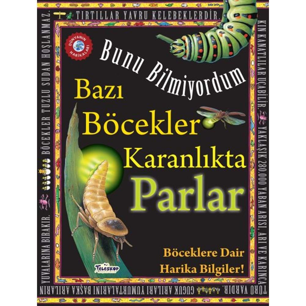 Bazı Böcekler Karanlıkta Parlar Bunu Bilmiyordum Böceklere Dair Harika Bilgiler