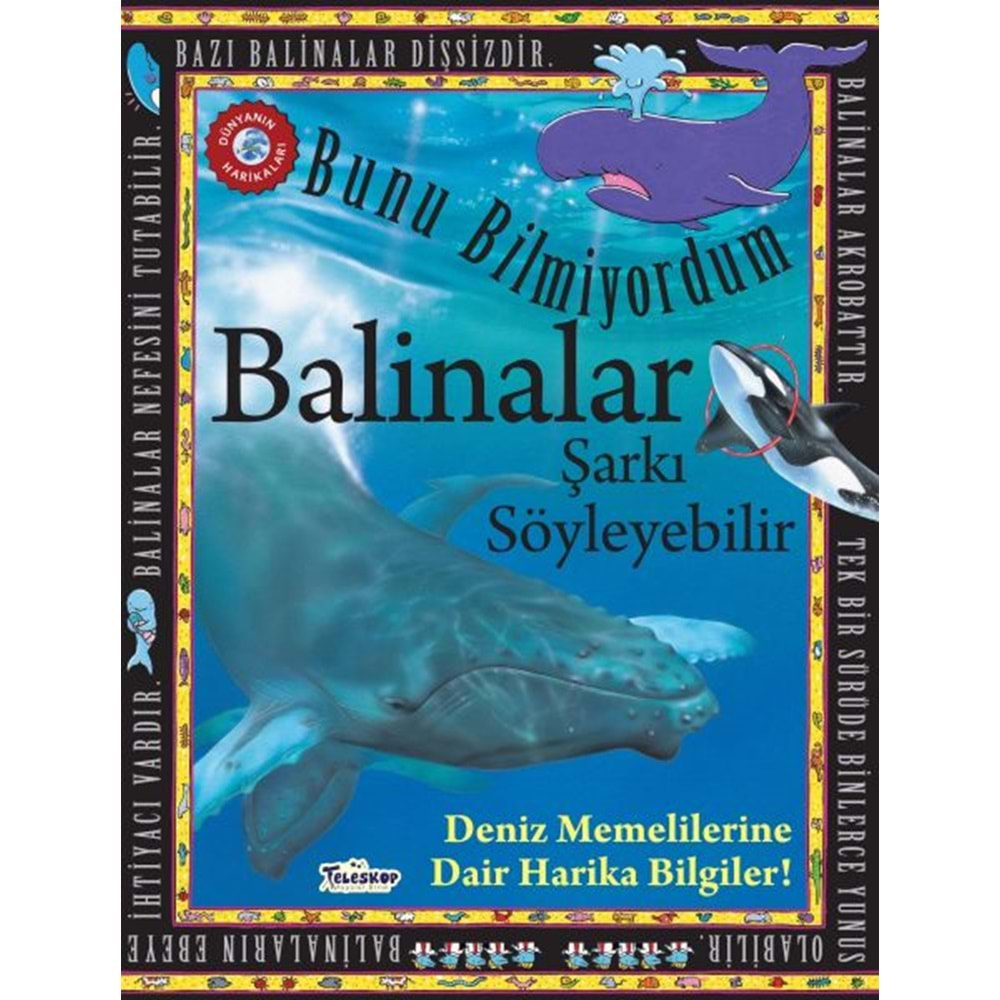 Balinalar Şarkı Söyleyebilir Bunu Bilmiyordum Deniz Memelilerine Dair Harika Bilgiler