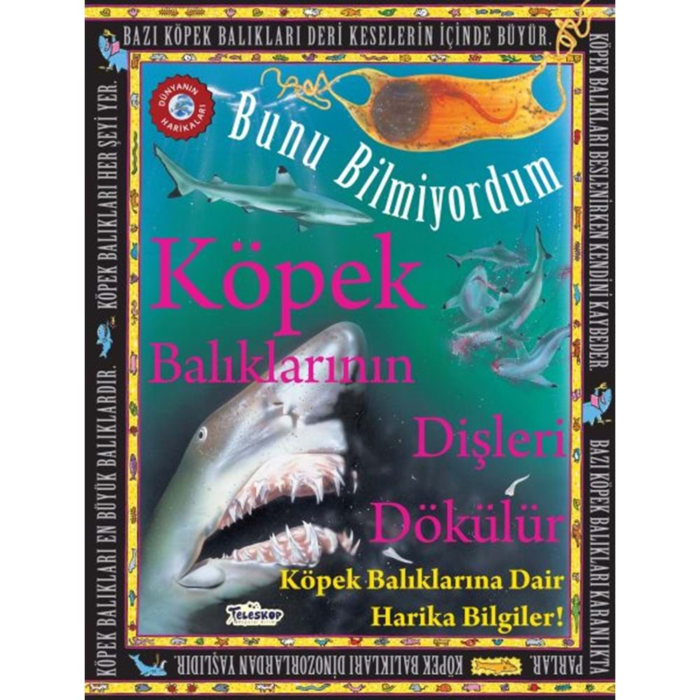 Köpek Balıklarının Dişleri Dökülür Bunu Bilmiyordum Köpek Balıklarına Dair Harika Bilgiler