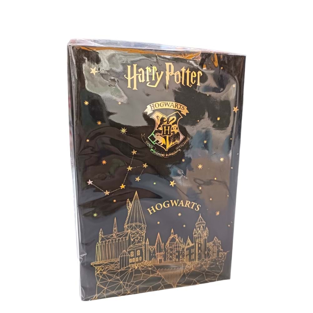 Kitap Görünümlü Kilitlenebilir Gizli Kasa Harry Potter Hogwarts Altın Lisanslı