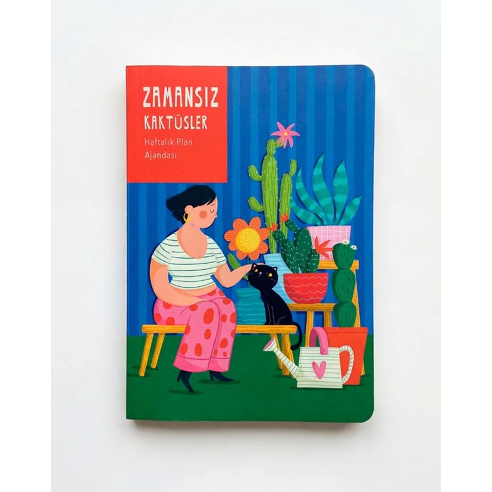 Kaktüs Mavi Zamansız Ajanda (Stickerlı)