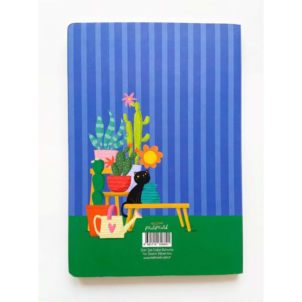 Kaktüs Mavi Zamansız Ajanda (Stickerlı)