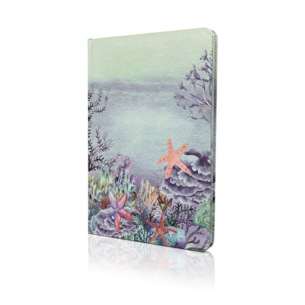 Liz Kuşe Kapak Kenar Baskılı 15x21 cm Defter 64 Yp. Noktalı+48 Yp. Çizgisiz