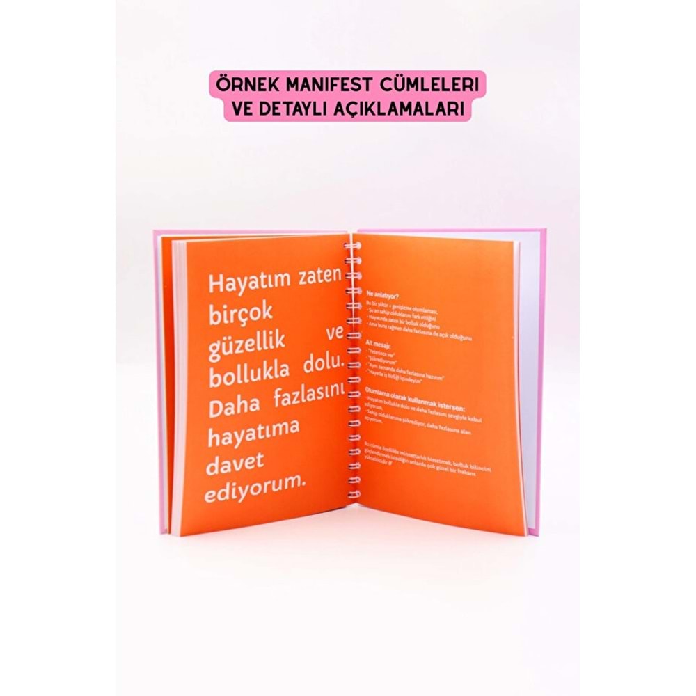 Beyaz Manifest Günlüğü Seri 2-2