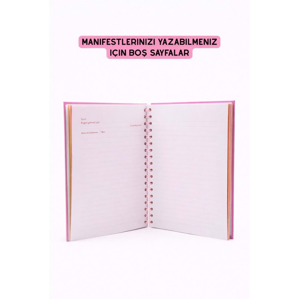 Mor Manifest Günlüğü Seri 2-1