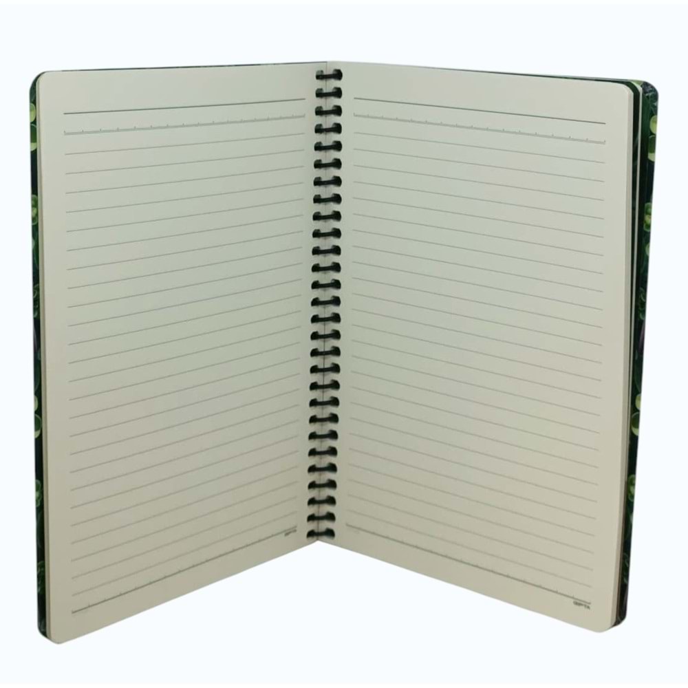 Gıpta Script Book Sprl. Sert Kpk. Defter 17x24 80 Yp. Çizgili
