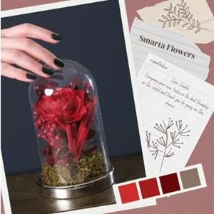 Smarta Modelleme Hamuru 100 gr. Kırmızı