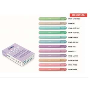 Gıpta Loop Pastel Turkuaz Fosforlu Kalem F1468