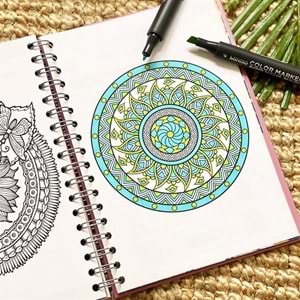 Canım Ben Şimdi Çileden Çıktım Tasarımlı Konuşan Ajanda (BAM-1157)