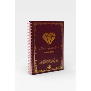 Bordo Manifest Günlüğü Seri 2-1