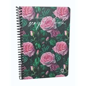Gıpta Script Book Sprl. Sert Kpk. Defter 17x24 80 Yp. Kareli