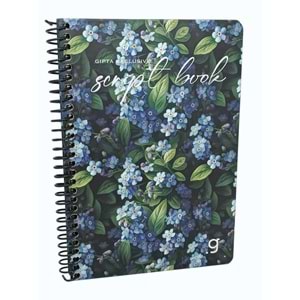 Gıpta Script Book Sprl. Sert Kpk. Defter 17x24 80 Yp. Kareli