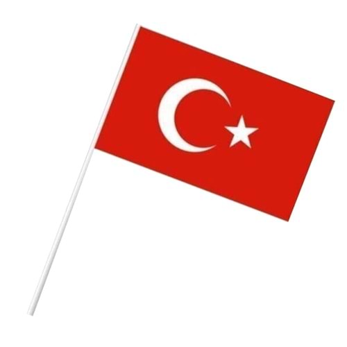 Vatan Bayrak Saplı Küçük Türk Bayraklı 13x22 cm