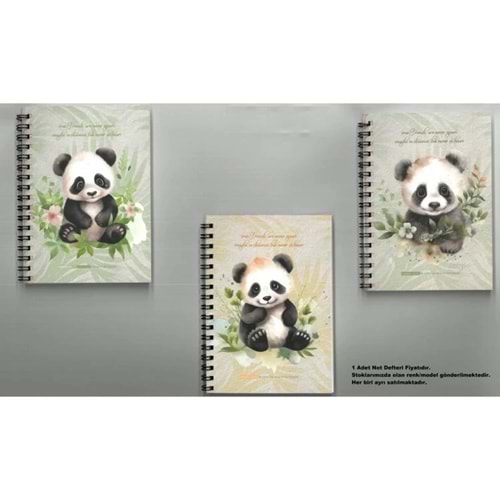 Gıpta Friendly Notes Spiralli Kar. Kap. A6 80 Yp. Çizgili Defter