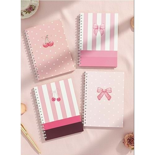 Liz Kiraz-Fiyonk Sert Kap.Sprl.120 Yp. Kareli Defter 17x24 cm