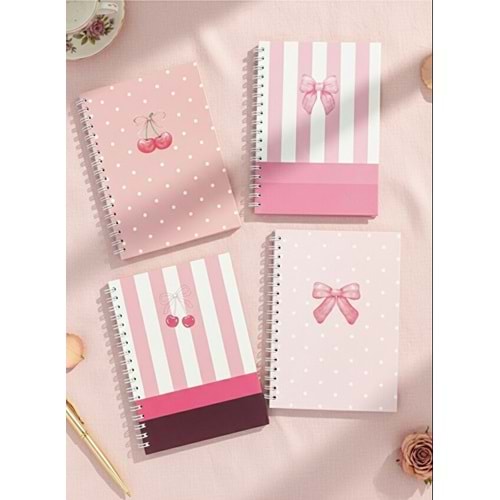 Liz Kiraz-Fiyonk Sert Kap.Sprl.120 Yp. Çizgili Defter 17x24 cm