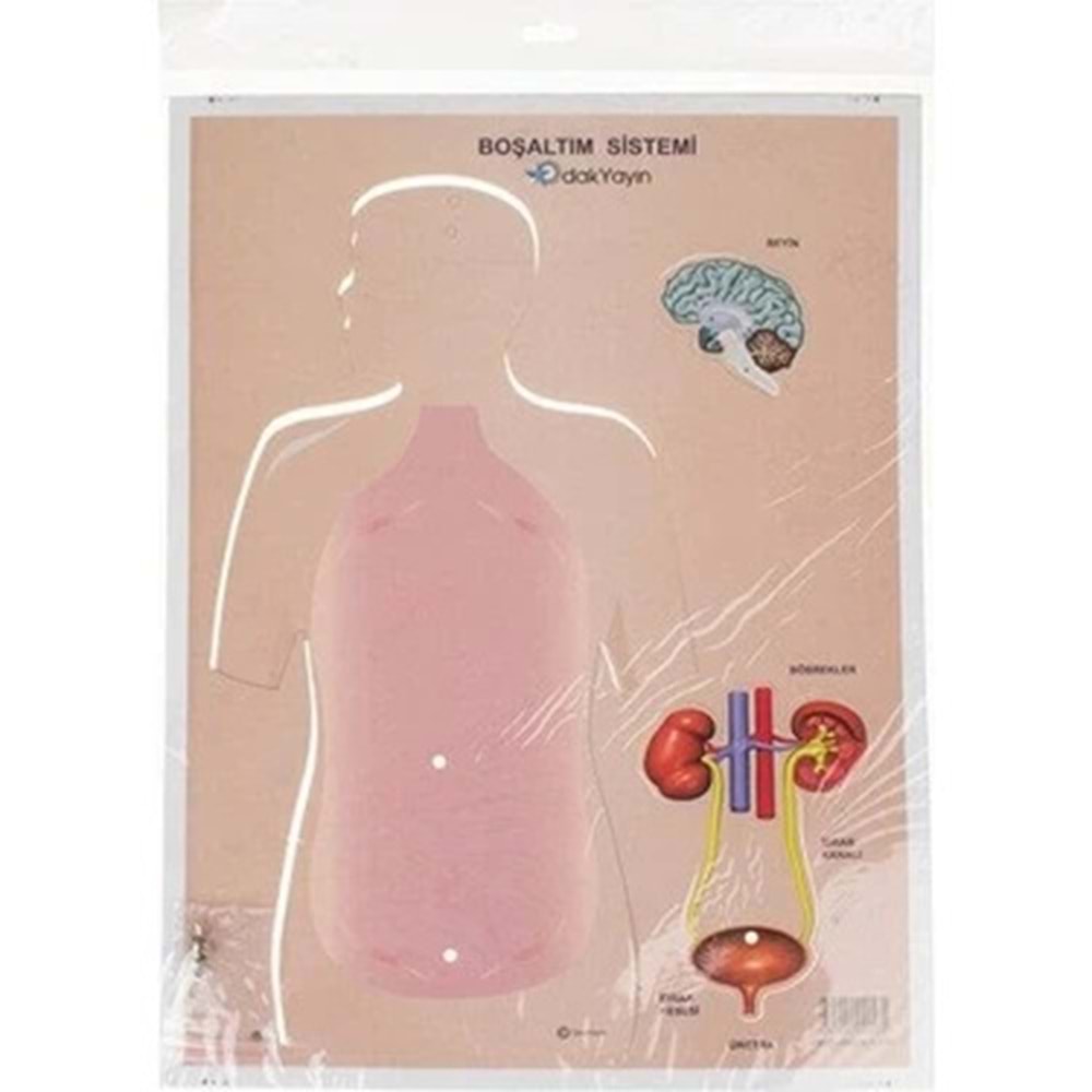 Odak Yayın Boşaltım Sistemi Maket