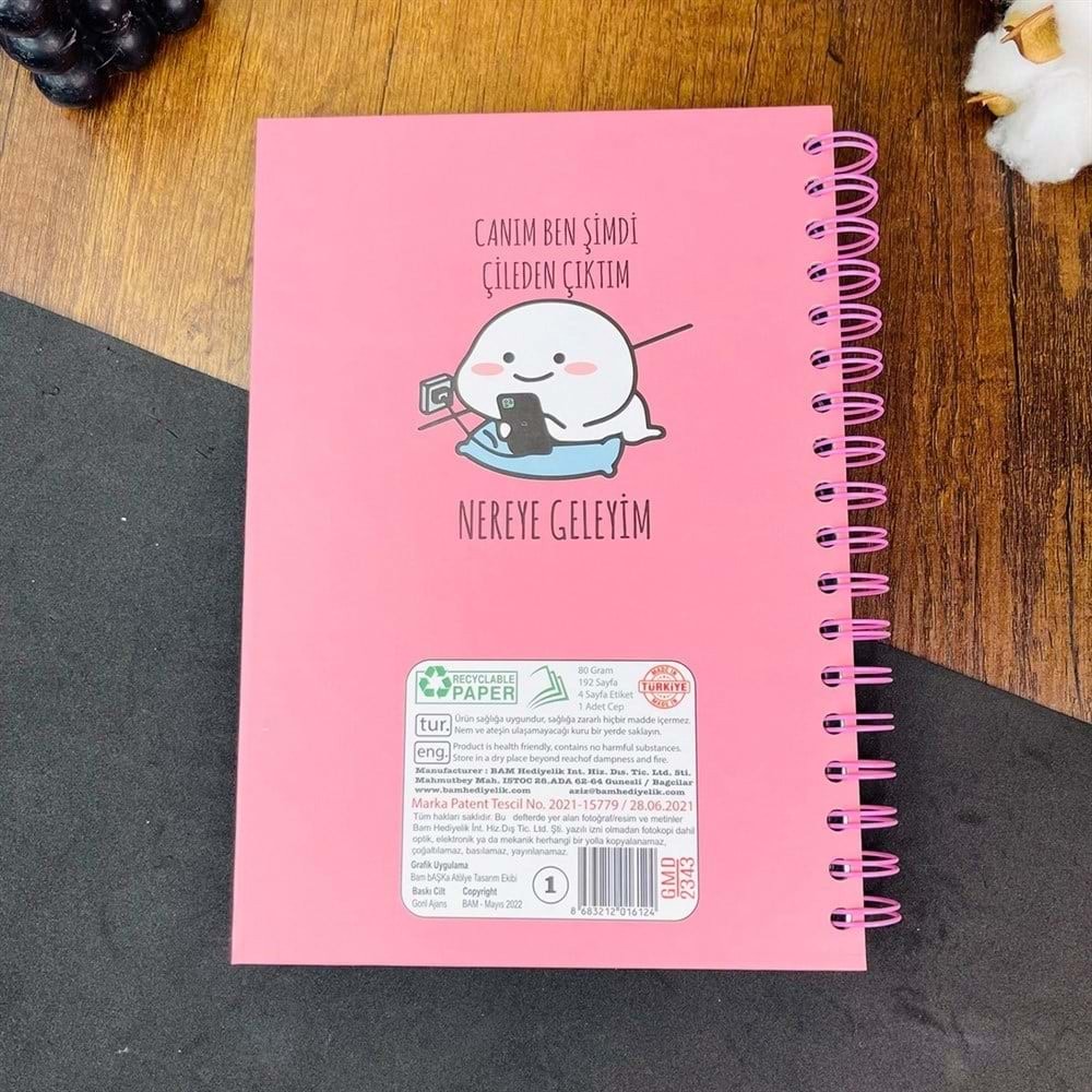 Canım Ben Şimdi Çileden Çıktım Tasarımlı Konuşan Ajanda (BAM-1157)