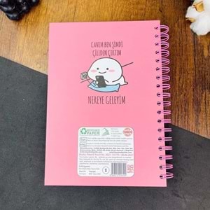 Canım Ben Şimdi Çileden Çıktım Tasarımlı Konuşan Ajanda (BAM-1157)