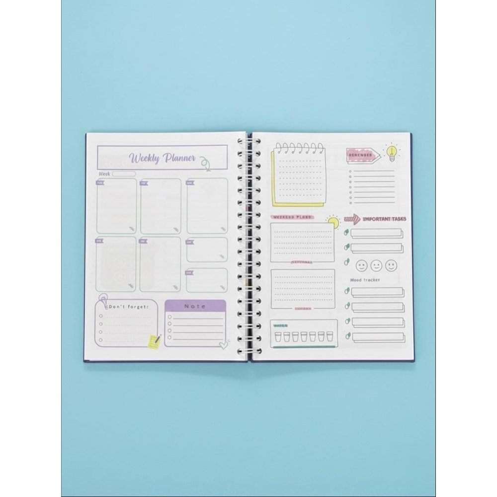 Liz Sert Kapak Sprl.Tarihsiz Ajanda