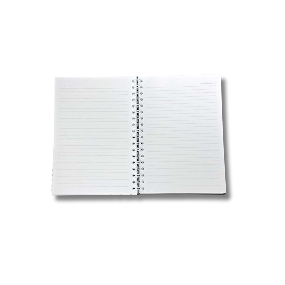 Liz Kiraz-Fiyonk Sert Kap.Sprl.120 Yp. Çizgili Defter 17x24 cm
