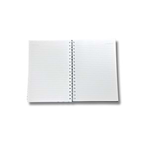 Liz Kiraz-Fiyonk Sert Kap.Sprl.120 Yp. Çizgili Defter 17x24 cm