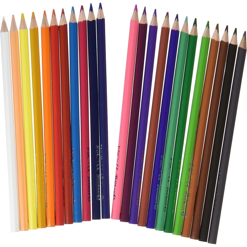 Pelikan Kuru Boya Kalemi Üçgen 24 Lü Kutu