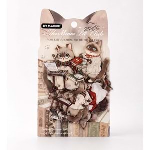 Kedi Sticker 20 Li Paket